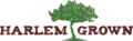 Development Coordinator/Manager