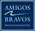 Executive Director, Amigos Bravos