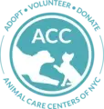 Volunteer Program Supervisor